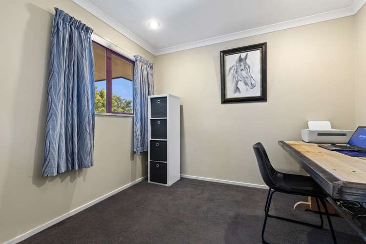 10 Mchugh Crescent Darfield_19