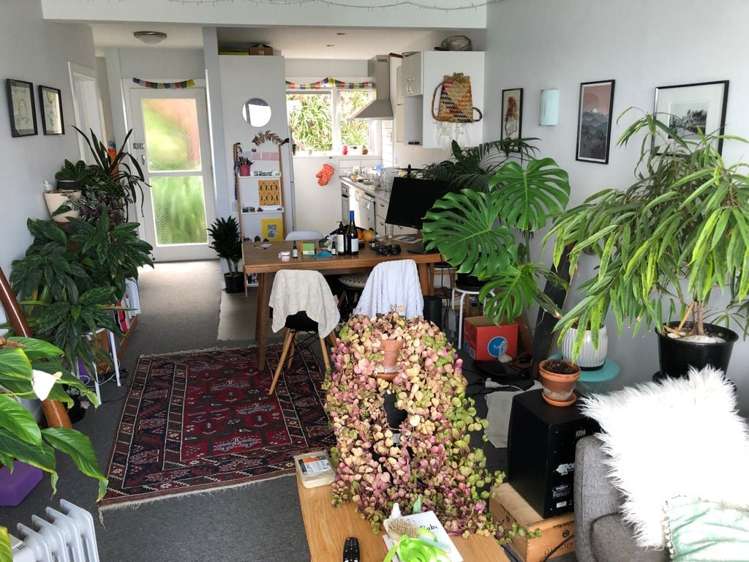 17A Marewa Road Hataitai_8