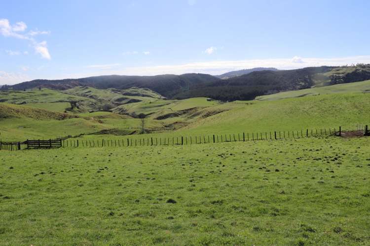 259 Elgood Road Ngaruawahia_27
