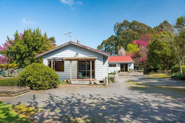 202 Whangamata Road Kinloch_3