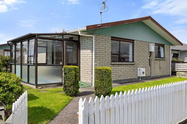 151a Carrington Street Vogeltown_3