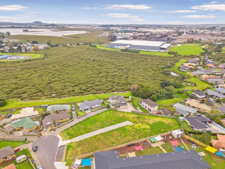 7a Tomes Lane Favona_15