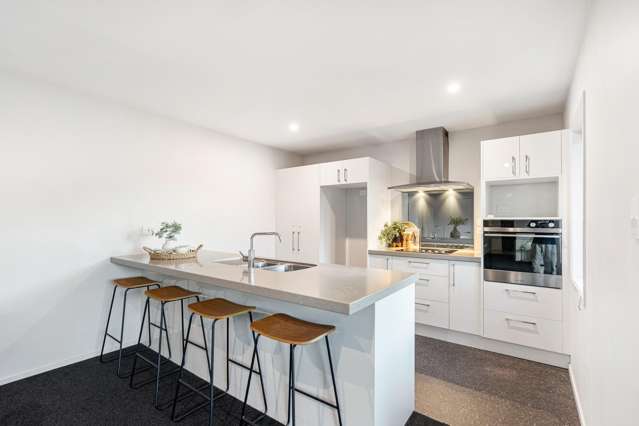 93 Skyhawk Road Wigram_3