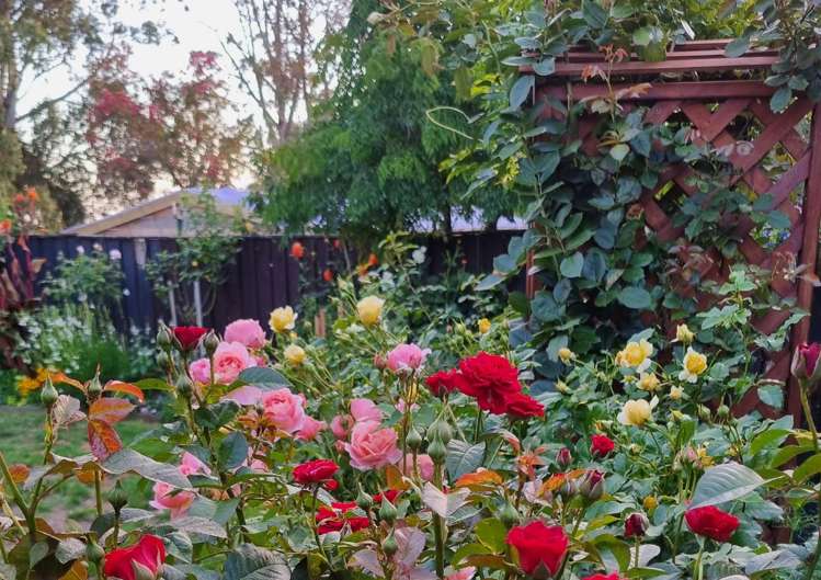 96 Alexandra Street Marton_26