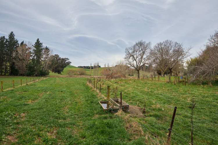 98 Fosters Road Cheviot_18