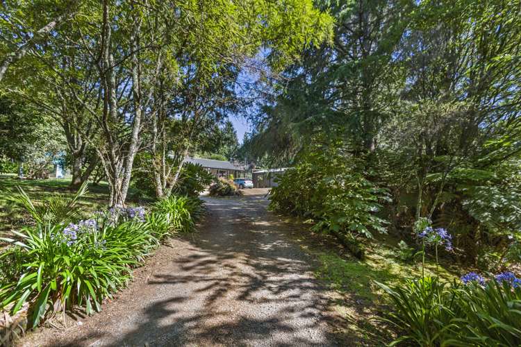 91 Waitetuna Valley Road Raglan Waikato Houses for Sale One Roof