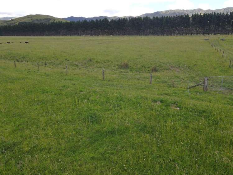 220 Larsen Road Eketahuna_13