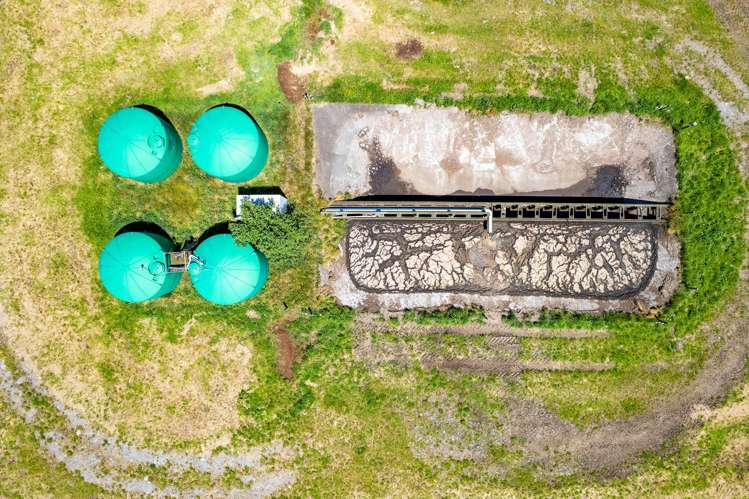 1627 Mangorei Road Korito_22