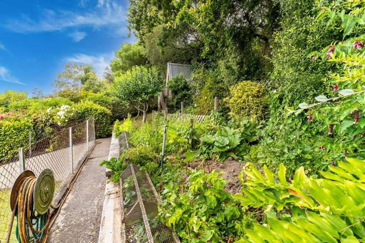 40 Hocken Street Kenmure_33