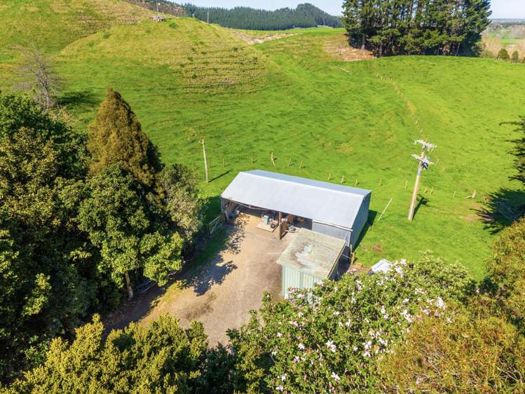 271 Kumuiti Road Fordell_39