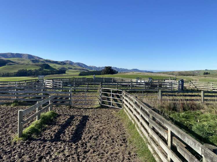 189 Pringles Road Green Valley_16