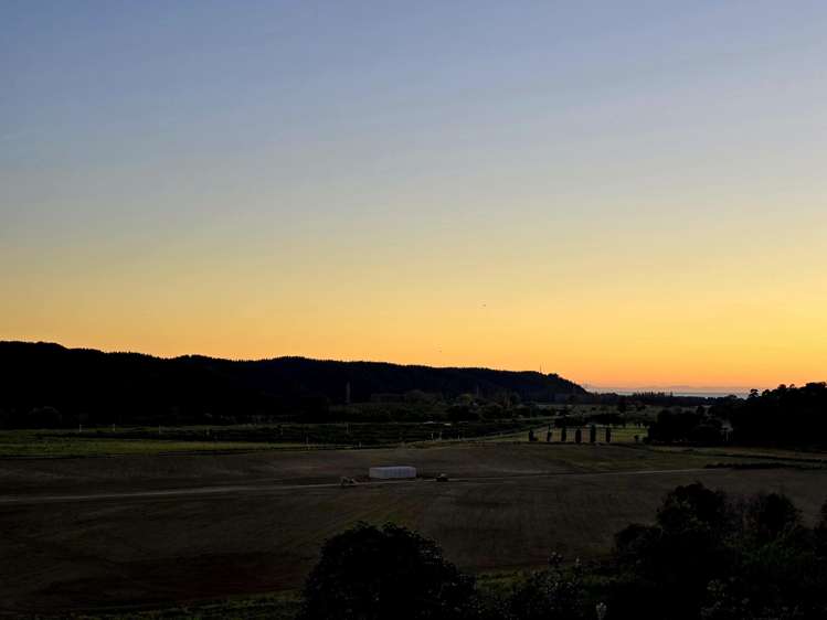 313 Hill Road Eskdale_20