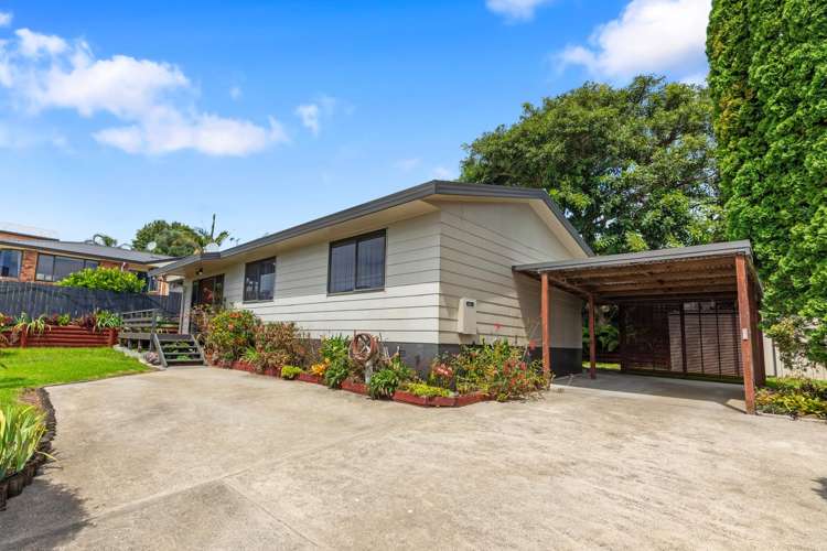 40A Princess Road Bellevue_24