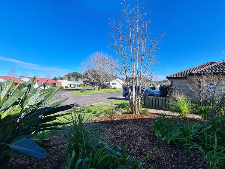 16 Allman Drive Coromandel_6