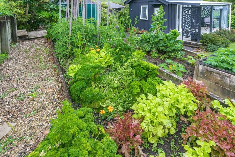 37 Kapowai Road Coroglen_49