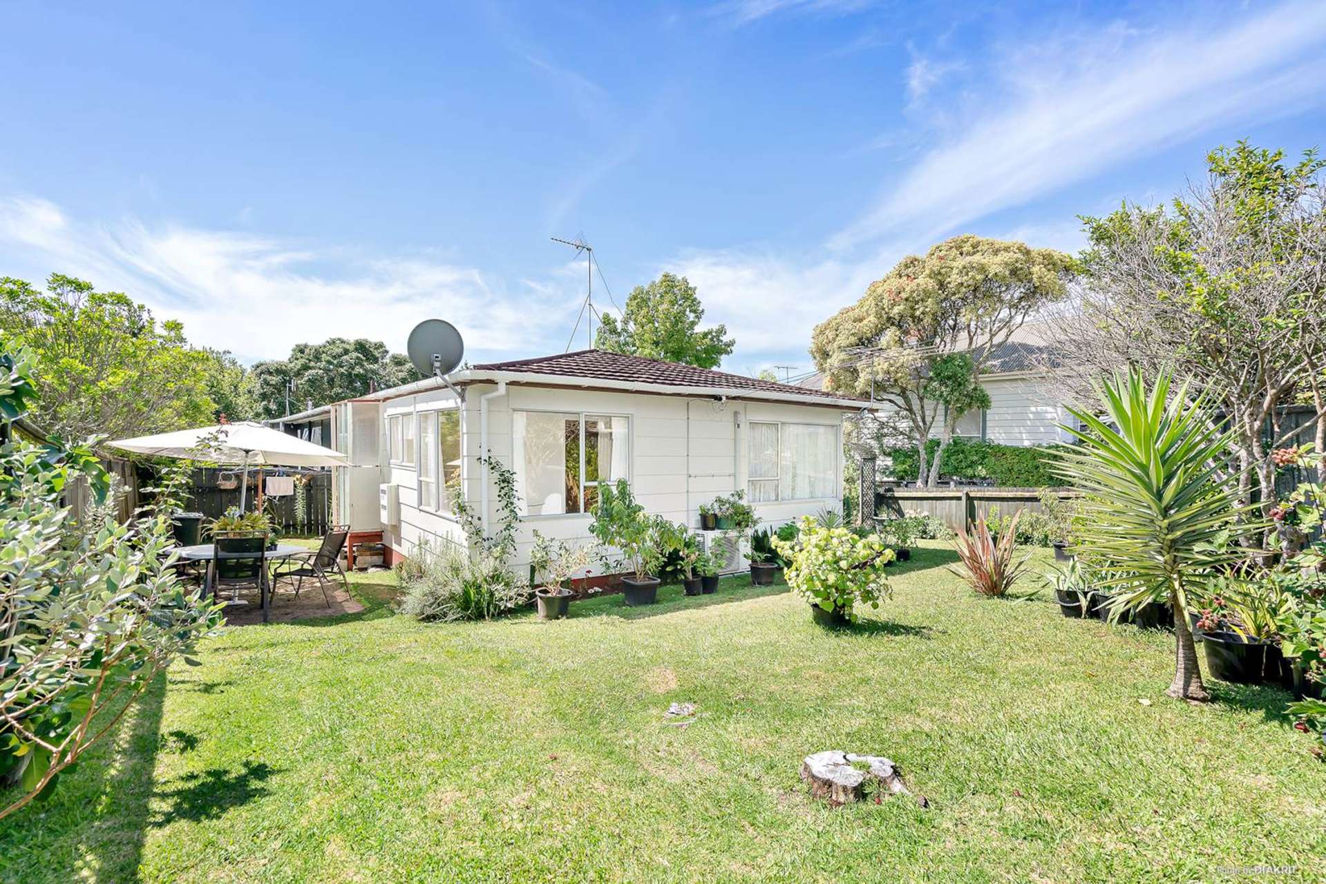 1/4 Tutanekai Street Grey Lynn_0