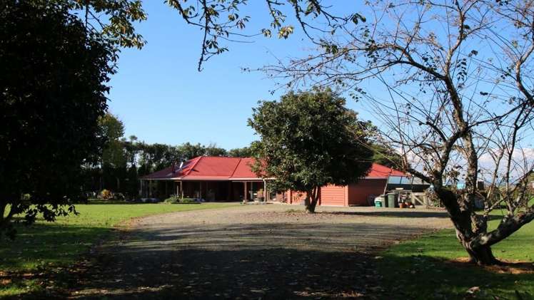 191 Gow Road Edgecumbe_1