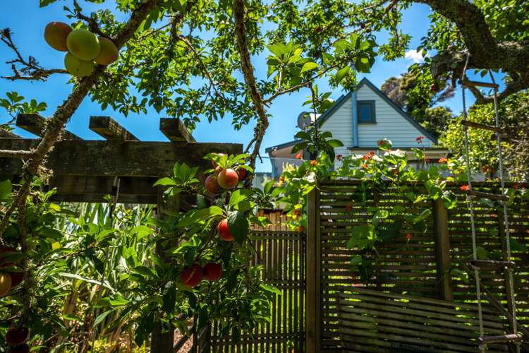 78 Queens Drive Oneroa_30