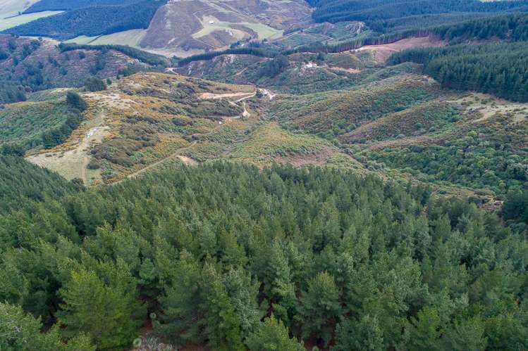 569 Mcqueens Valley Road Gebbies Valley_12