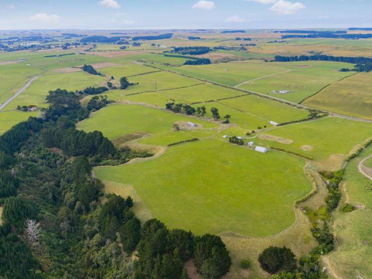 116 Karahaki Road Waverley_11