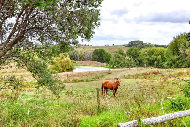 75 Homestead Lane Kaiwaka_3