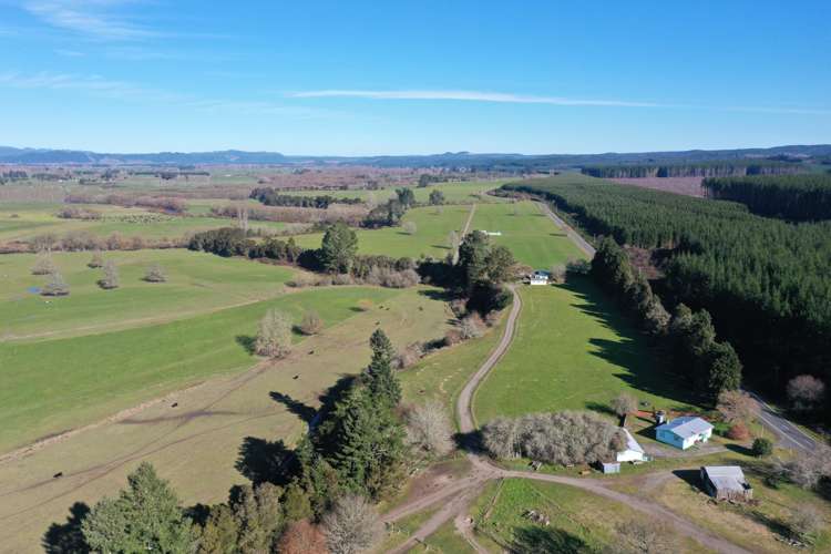 449 Kopuriki Road Murupara Surrounds_1