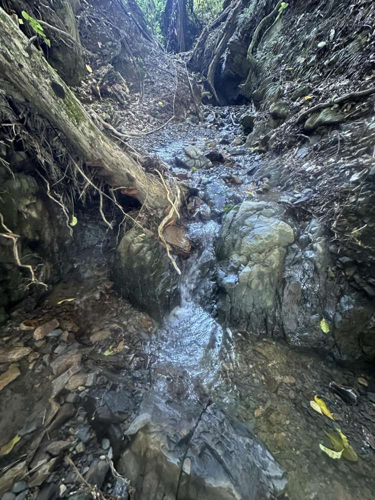 Block 10 Matapapa, State Highway 35 Waihau Bay_20