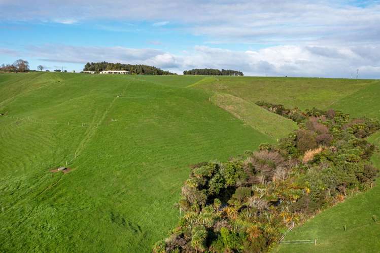29 Newton Road Raglan_8