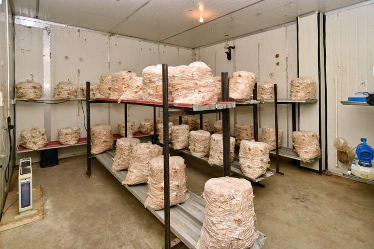 407 Pesters Road West Eyreton_12