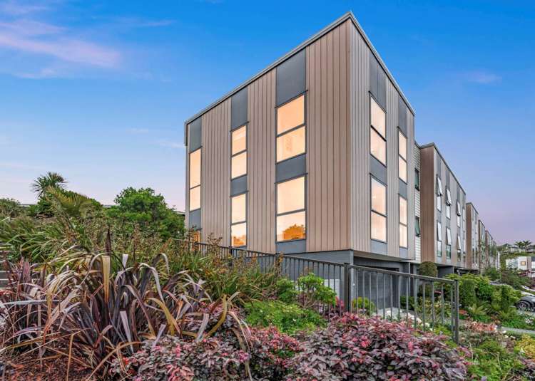 34 Charles Heaphy Lane Stonefields_9