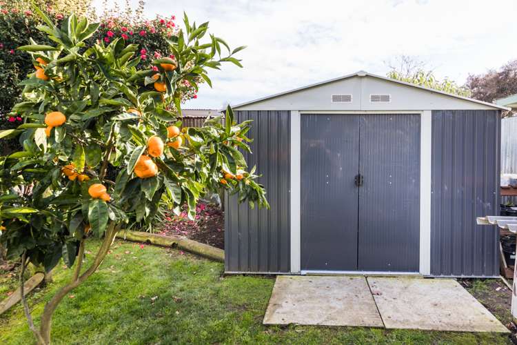 24 Cedar Crescent Feilding_20