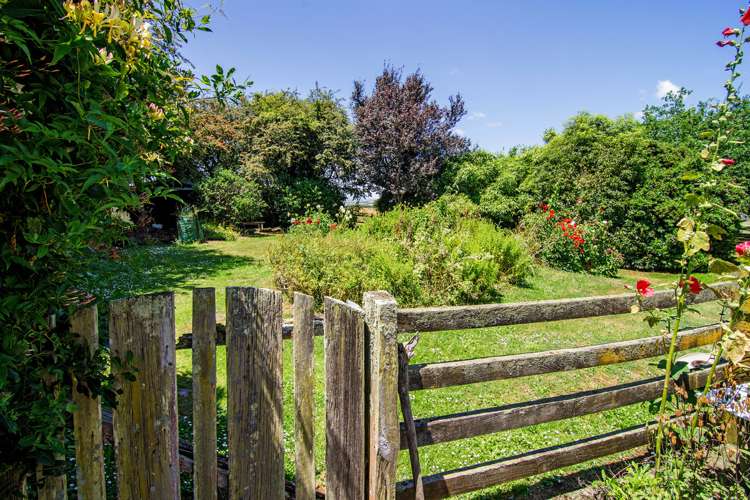 3228 State Highway 2 Carterton_14