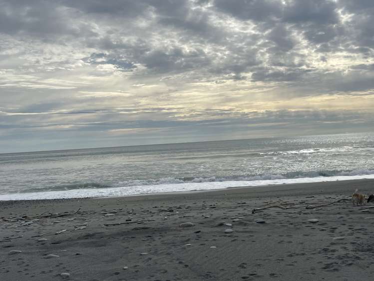 1299 Kumara Junction Highway Awatuna_5