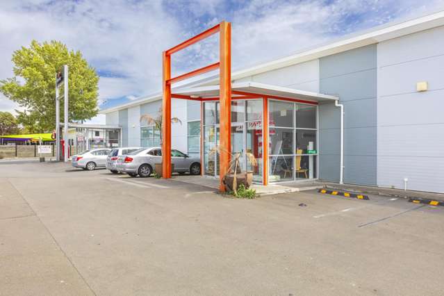 905 Heretaunga Street West Saint Leonards_3