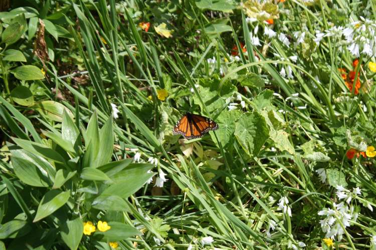 413 Parawai Road Thames_16