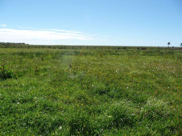 26 Elley Drive Carters Beach_0