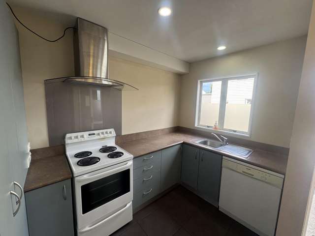 10A Somerset Crescent Spreydon_2