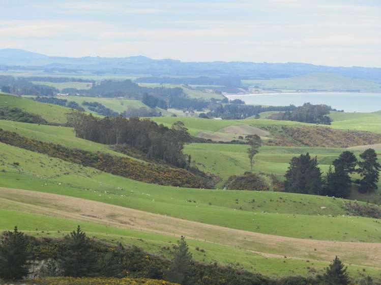 Horse Range Road Palmerston_17