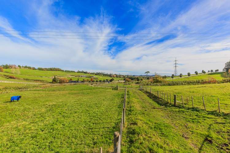 53 Follies Way Dairy Flat_5