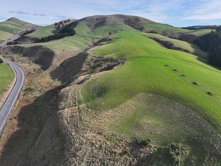 3 Conical Hill Road Gore_3