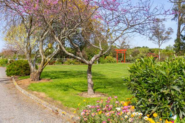 56 Upper Manaia Road Upper Plain_3