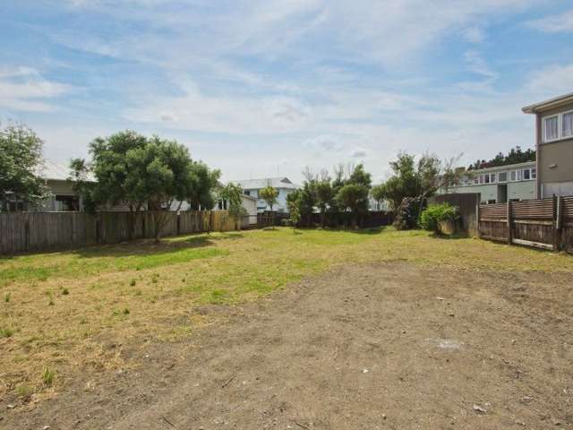 43a Heretaunga Street Petone_2