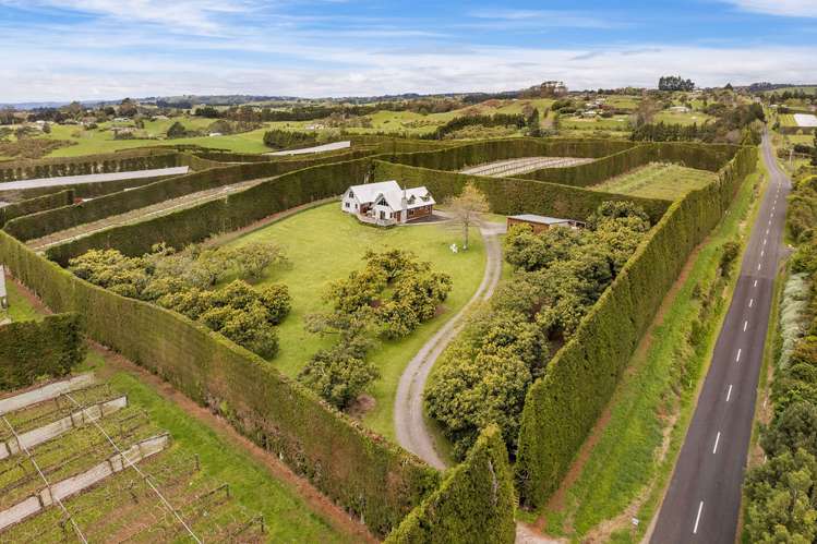 311 Wainui South Road Whakamarama_32