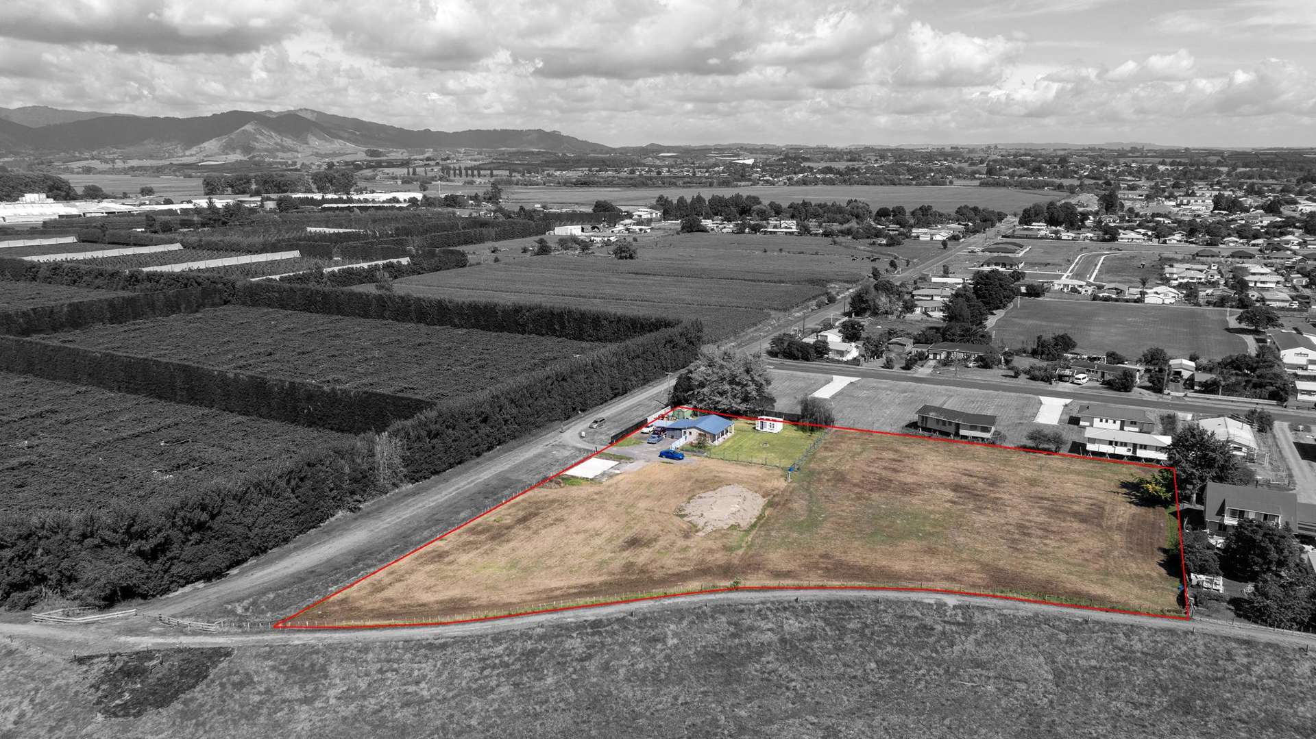 161 Duke Street Opotiki and Surrounds_0