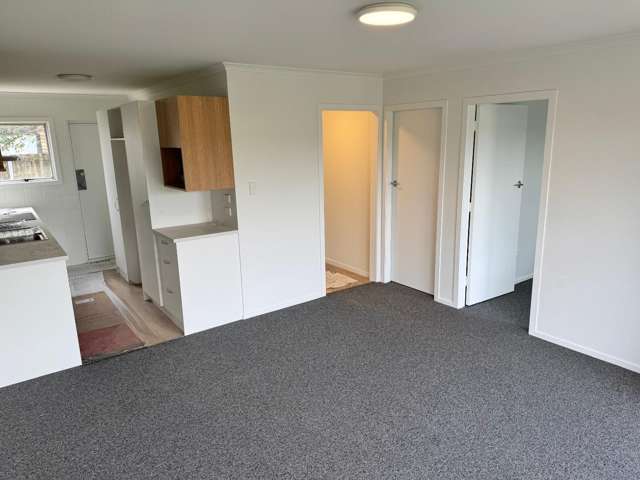 1C Cameron Road Hamilton East_4