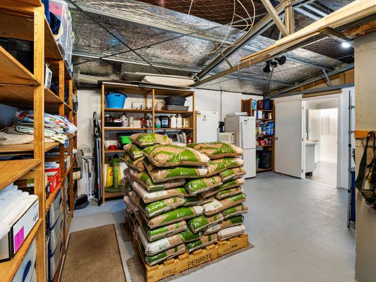 29 Walker Road West Katikati_27