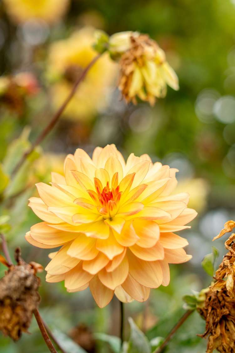 62 Ensign Street Halswell_23