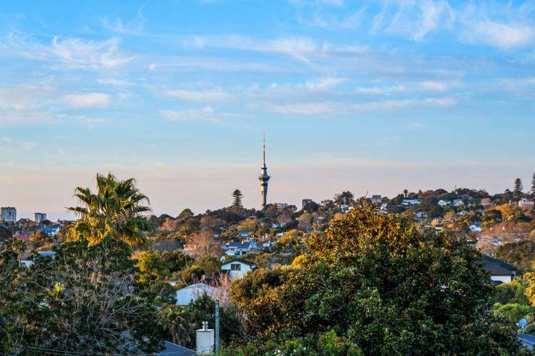 91 Landscape Road Mt Eden_12