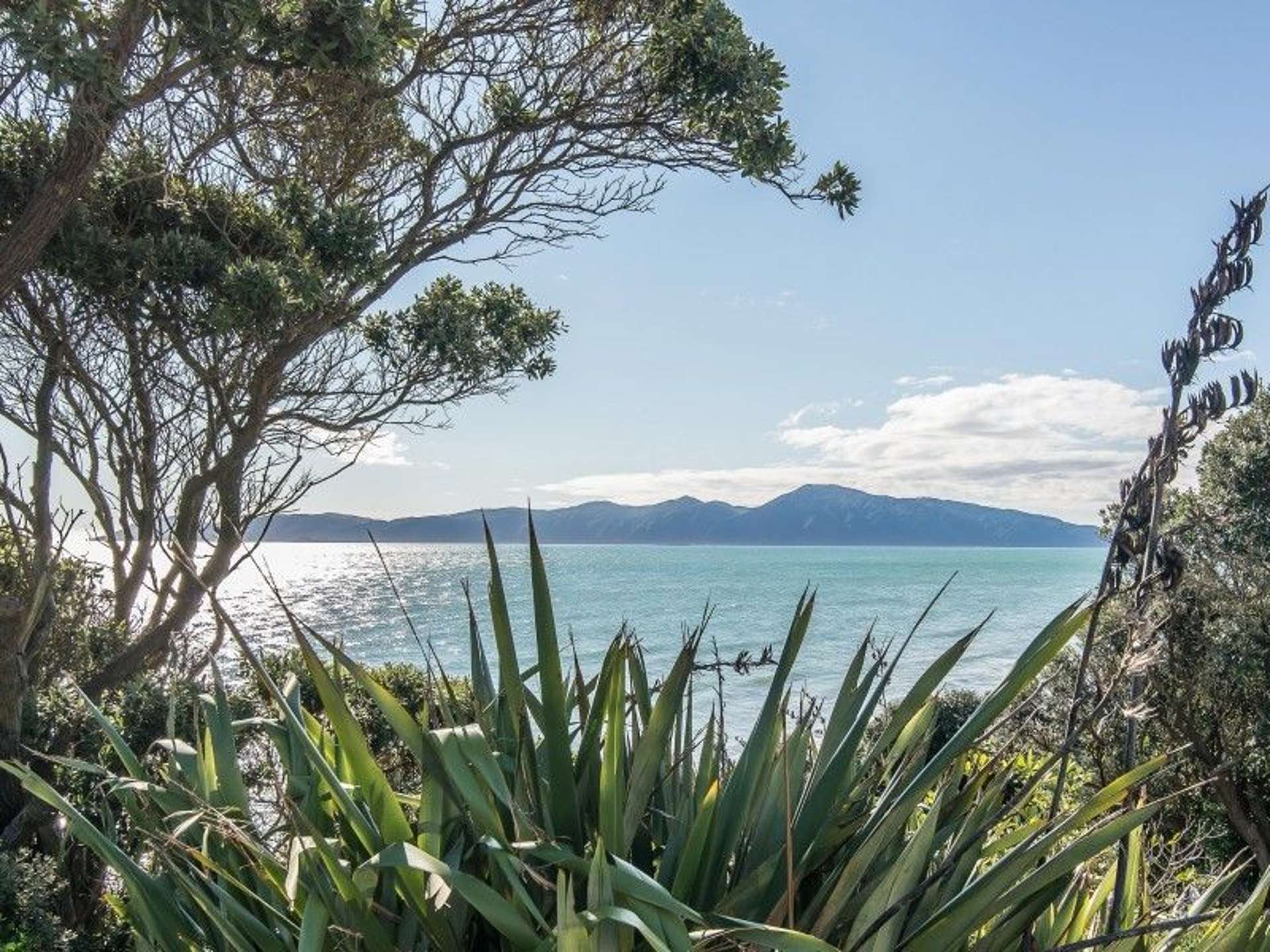 81 Rosetta Road Raumati South_0