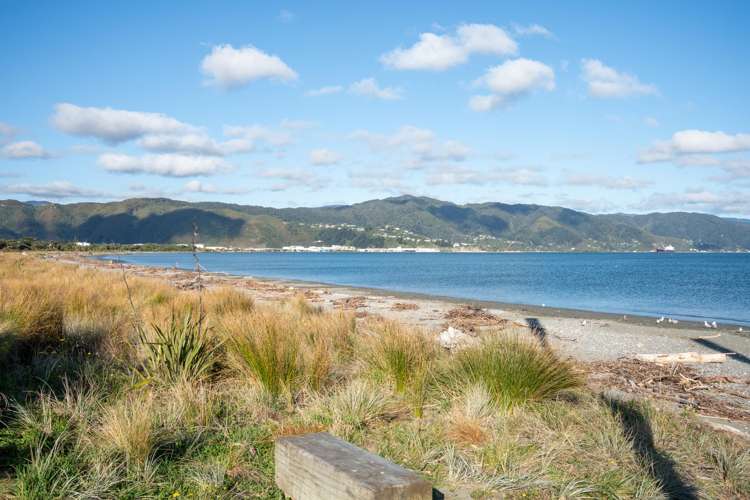15/337 Jackson Street Petone_15